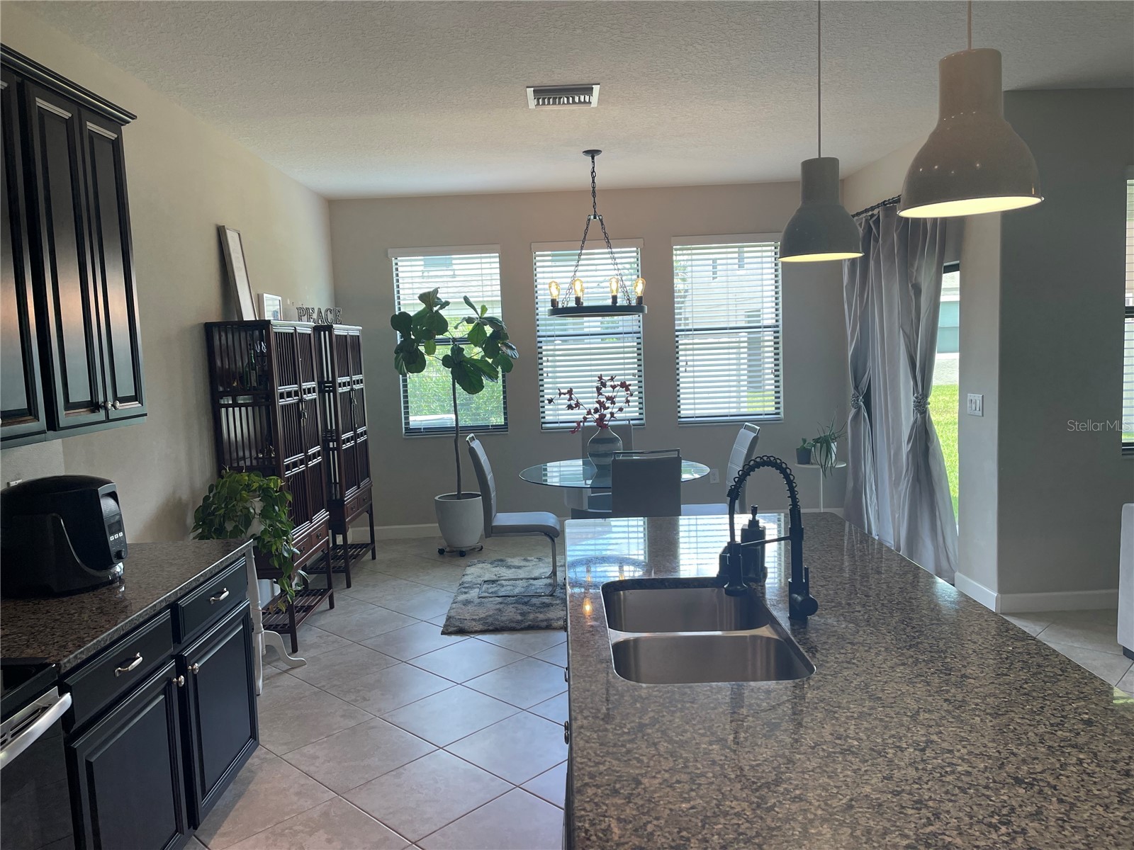 1596 Ludington Avenue Wesley Chapel FL 33543 TB8529204 image5