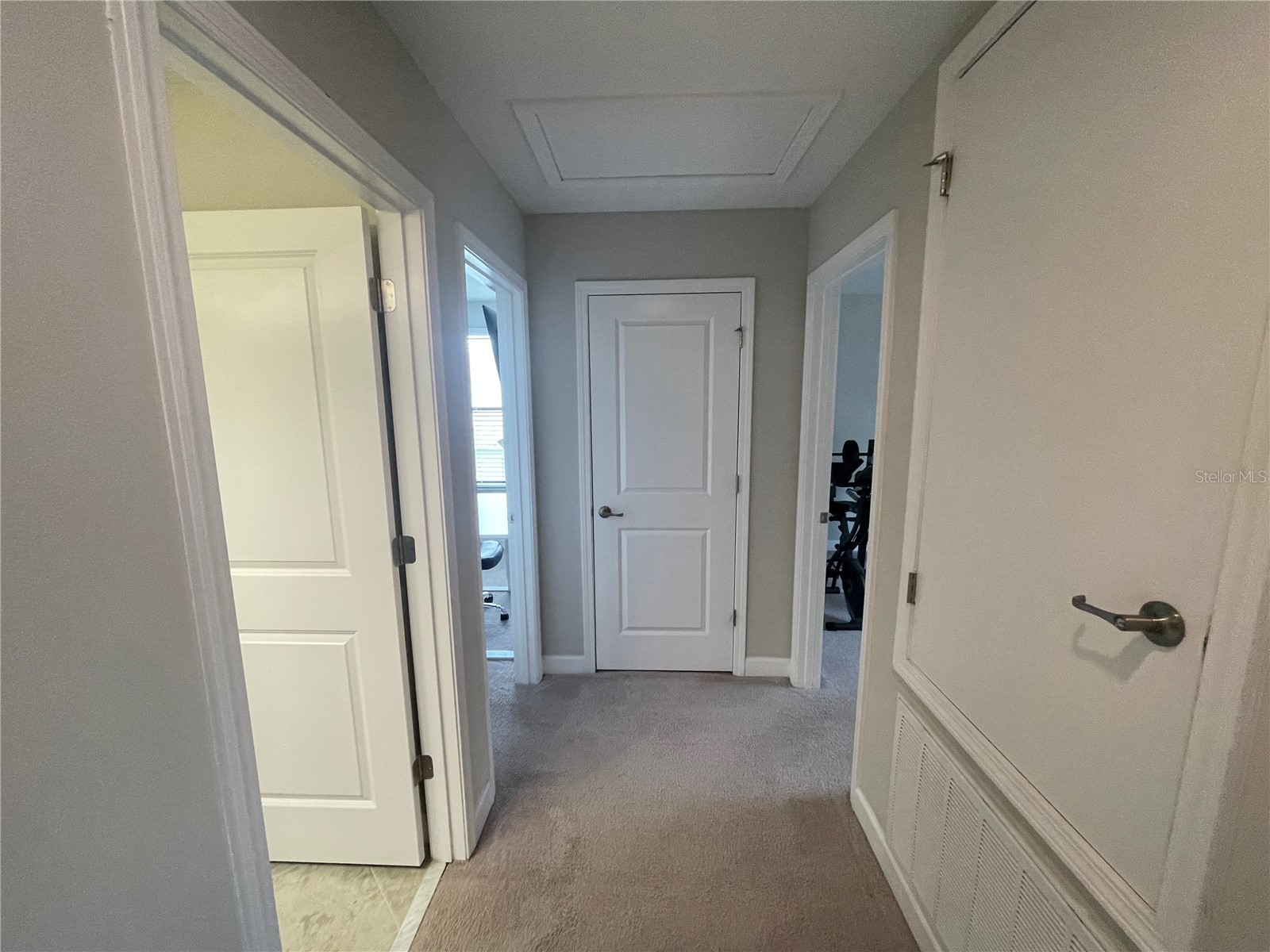 1596 Ludington Avenue Wesley Chapel FL 33543 TB8529204 image51
