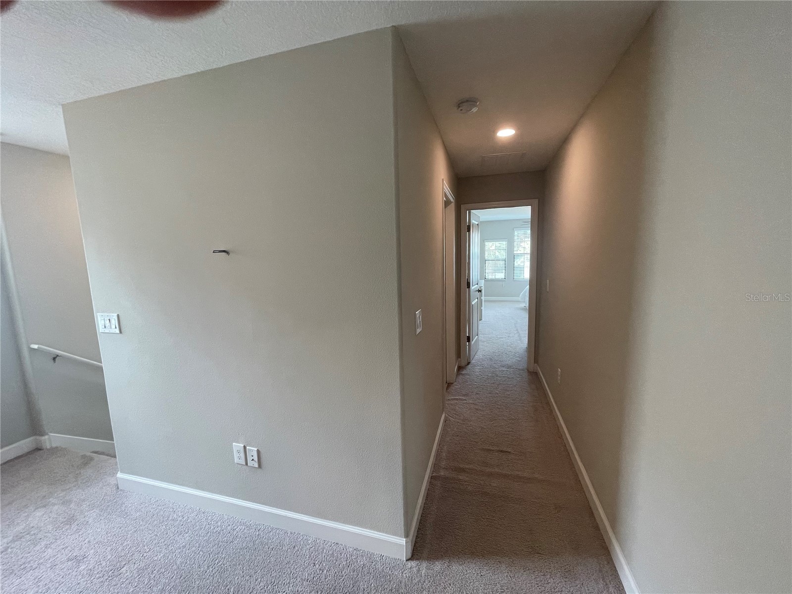 1596 Ludington Avenue Wesley Chapel FL 33543 TB8529204 image53