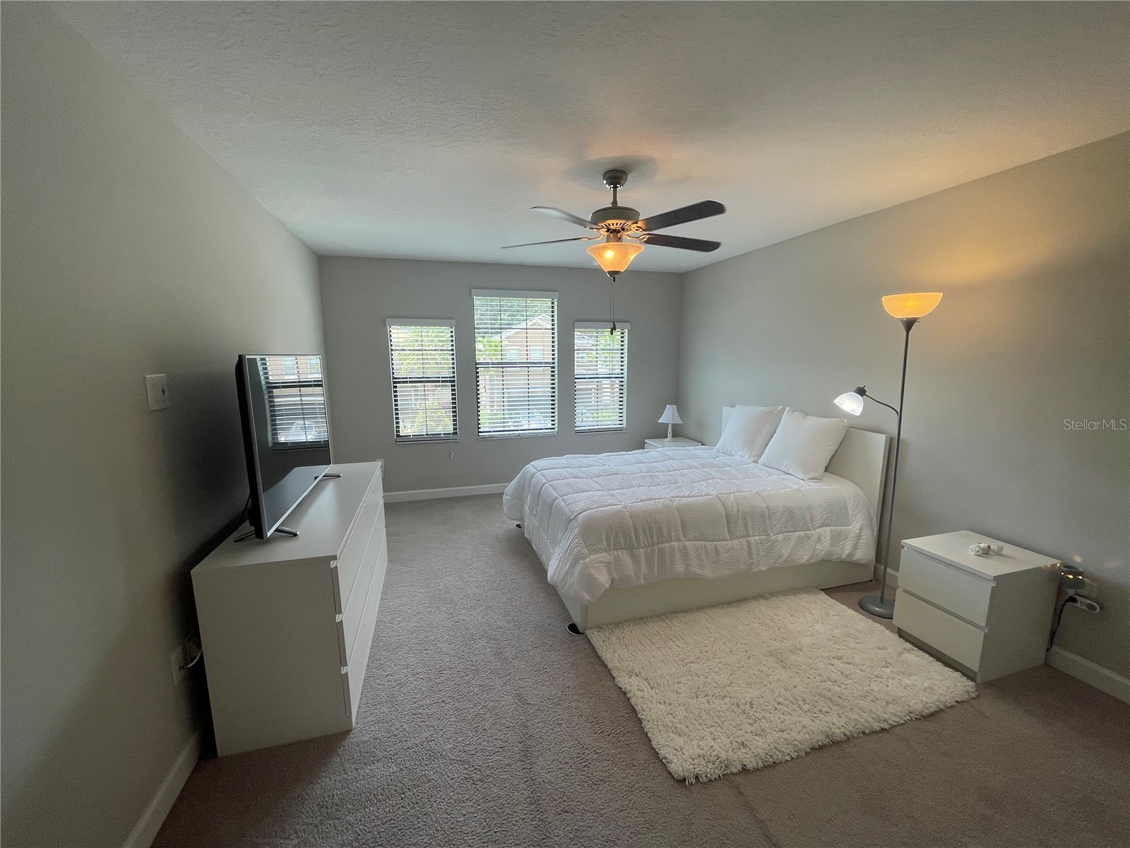 1596 Ludington Avenue Wesley Chapel FL 33543 TB8529204 image54