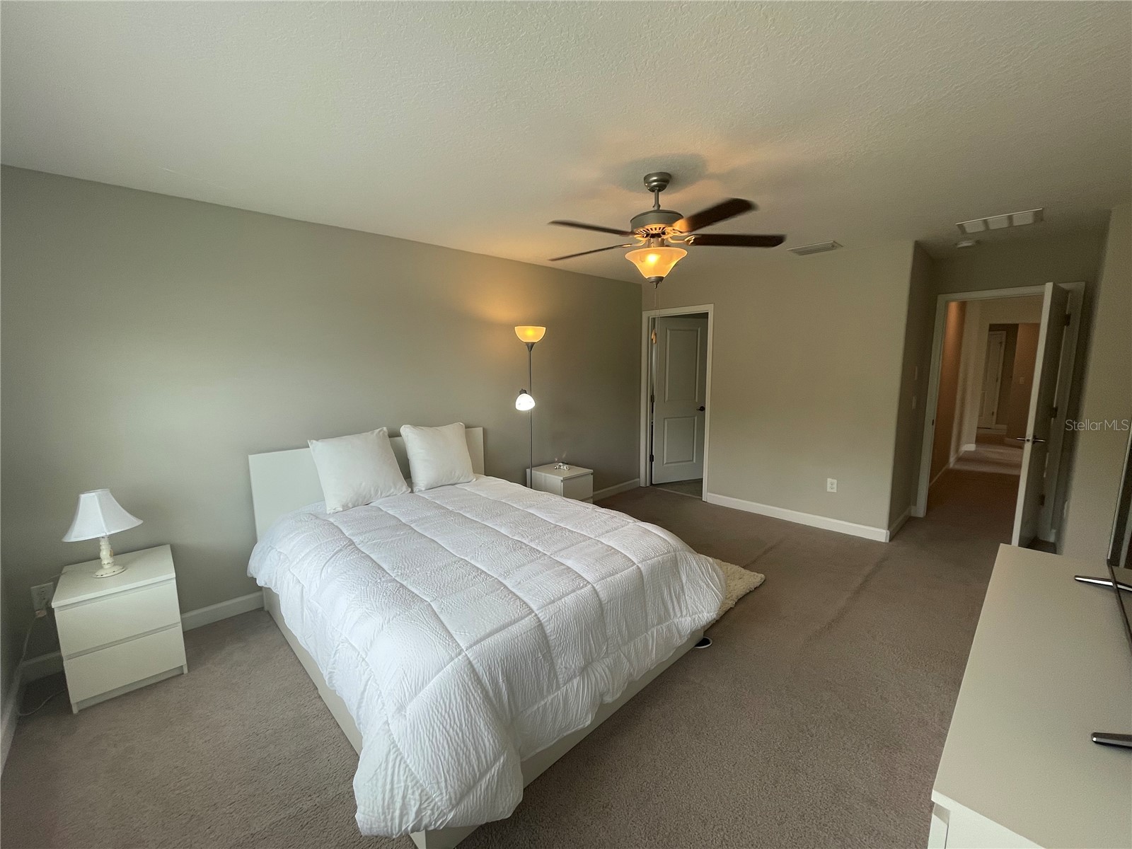 1596 Ludington Avenue Wesley Chapel FL 33543 TB8529204 image55