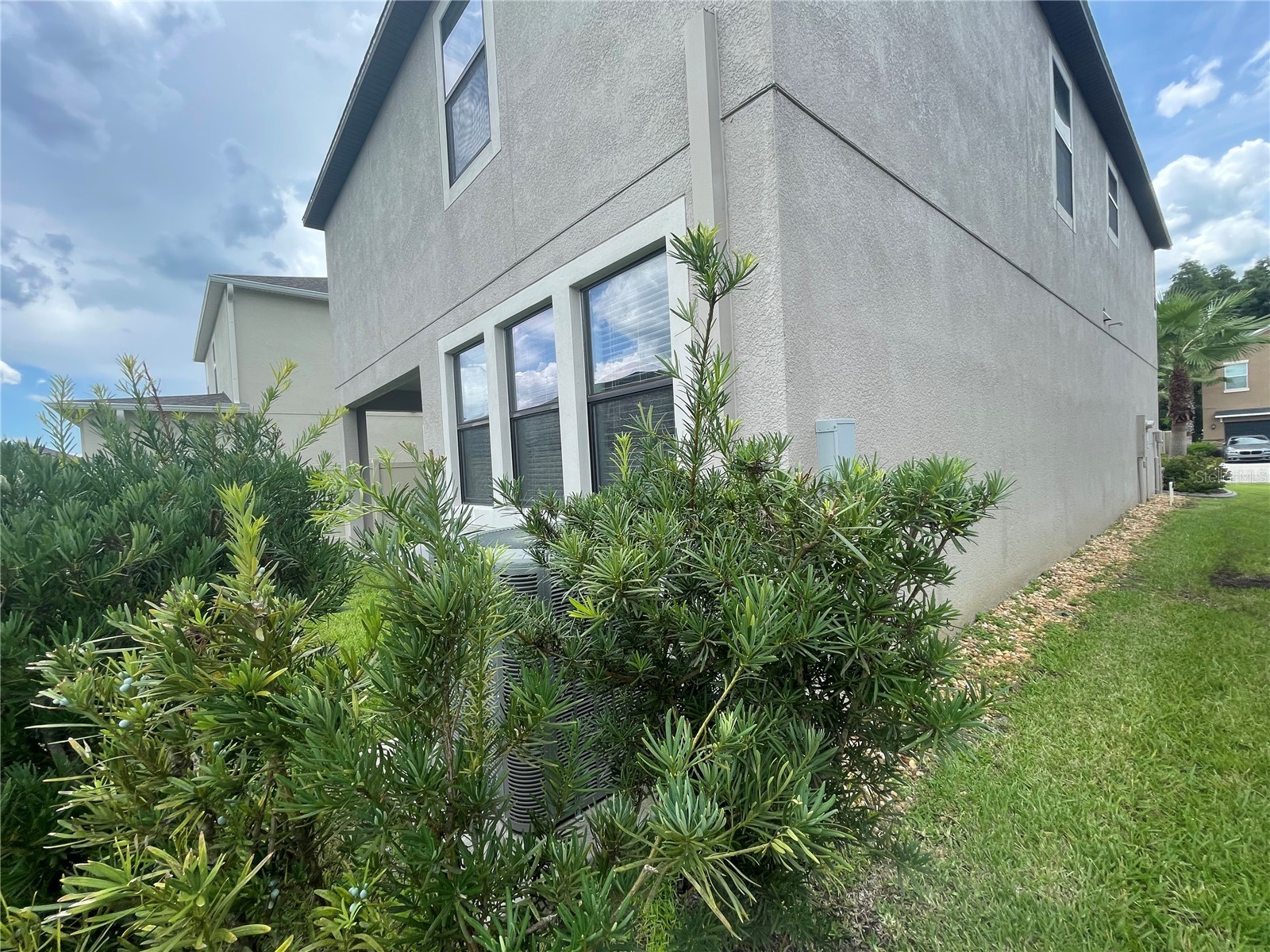 1596 Ludington Avenue Wesley Chapel FL 33543 TB8529204 image60