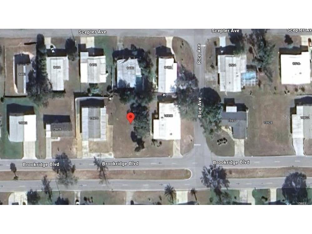 15964 Brookridge Boulevard Brooksville FL 34613 O6302186 image1