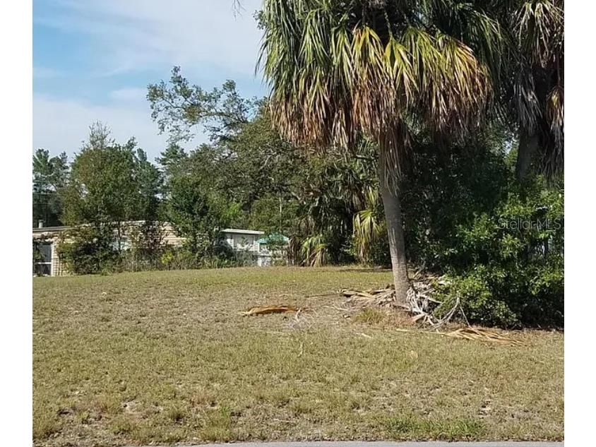 15964 Brookridge Boulevard Brooksville FL 34613 O6302186 image2