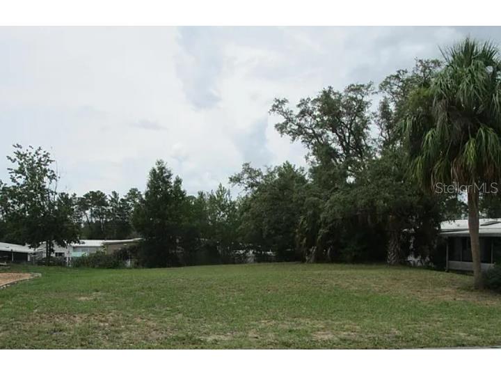 15964 Brookridge Boulevard Brooksville FL 34613 O6302186 image3