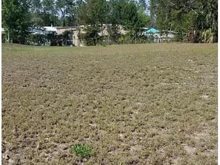 15964 Brookridge Boulevard Brooksville FL 34613 O6302186 image4