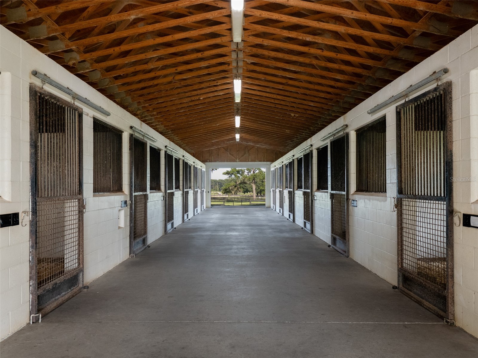 15964 W Highway 318 Williston FL 32696 OM710926 image28