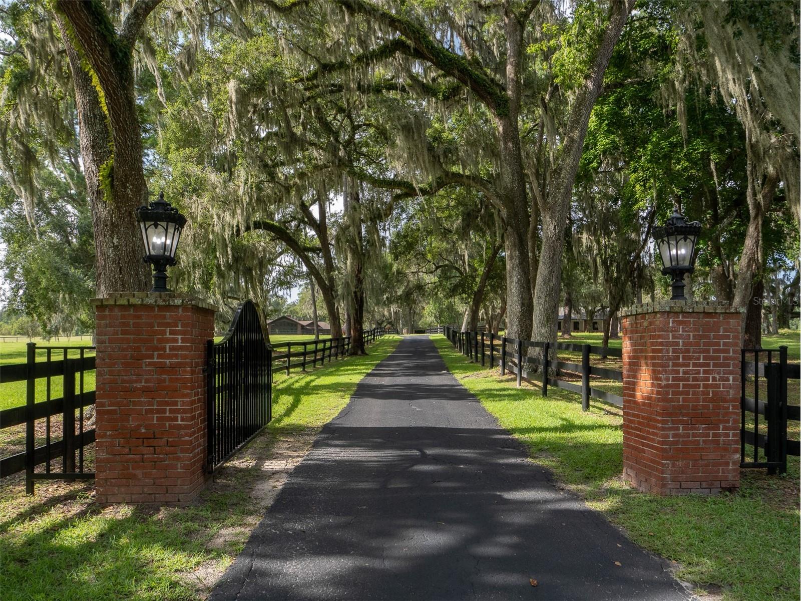 15964 W Highway 318 Williston FL 32696 OM710926 image3