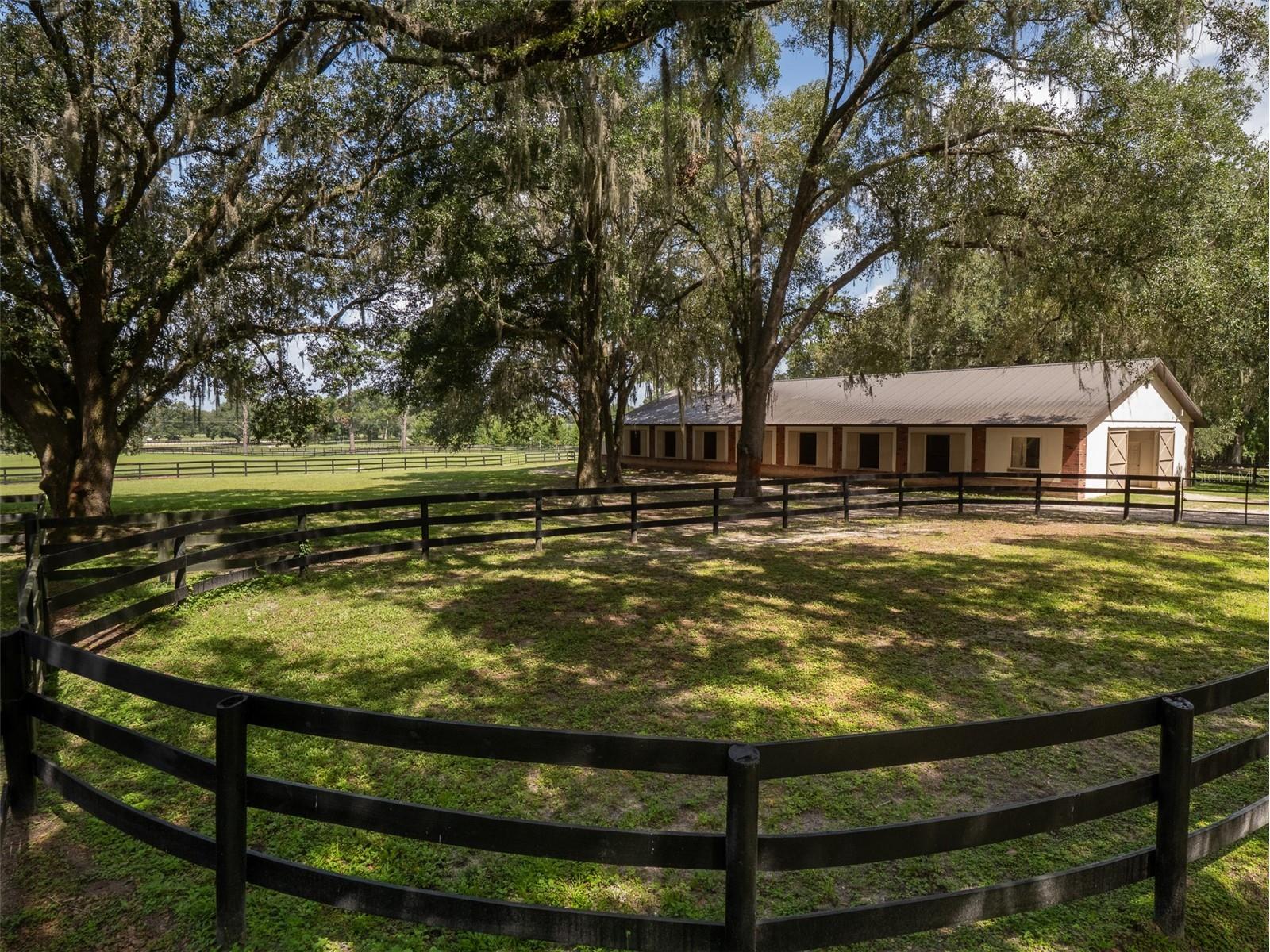 15964 W Highway 318 Williston FL 32696 OM710926 image32