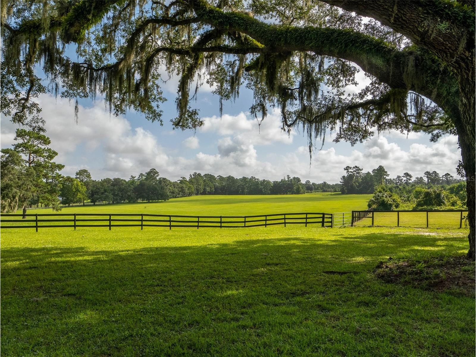 15964 W Highway 318 Williston FL 32696 OM710926 image34