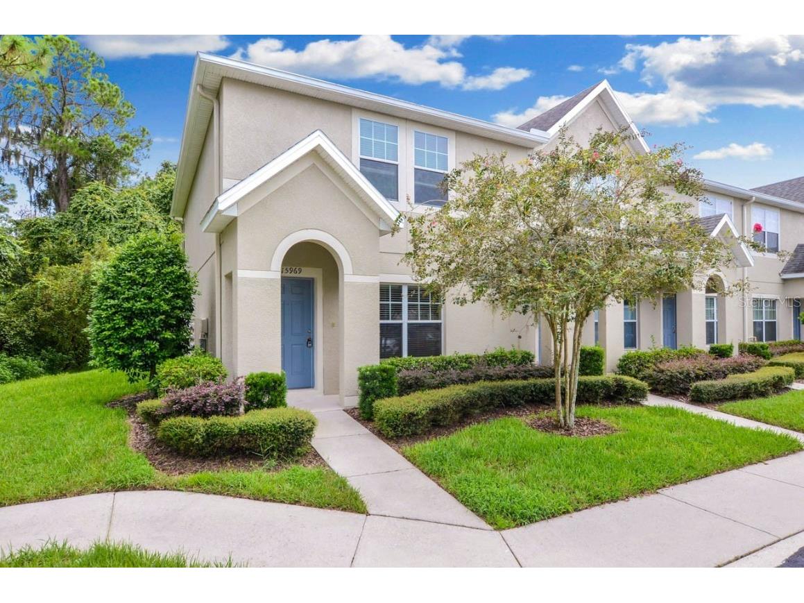 15969 Fishhawk View Drive Lithia FL 33547 T3449548 image1