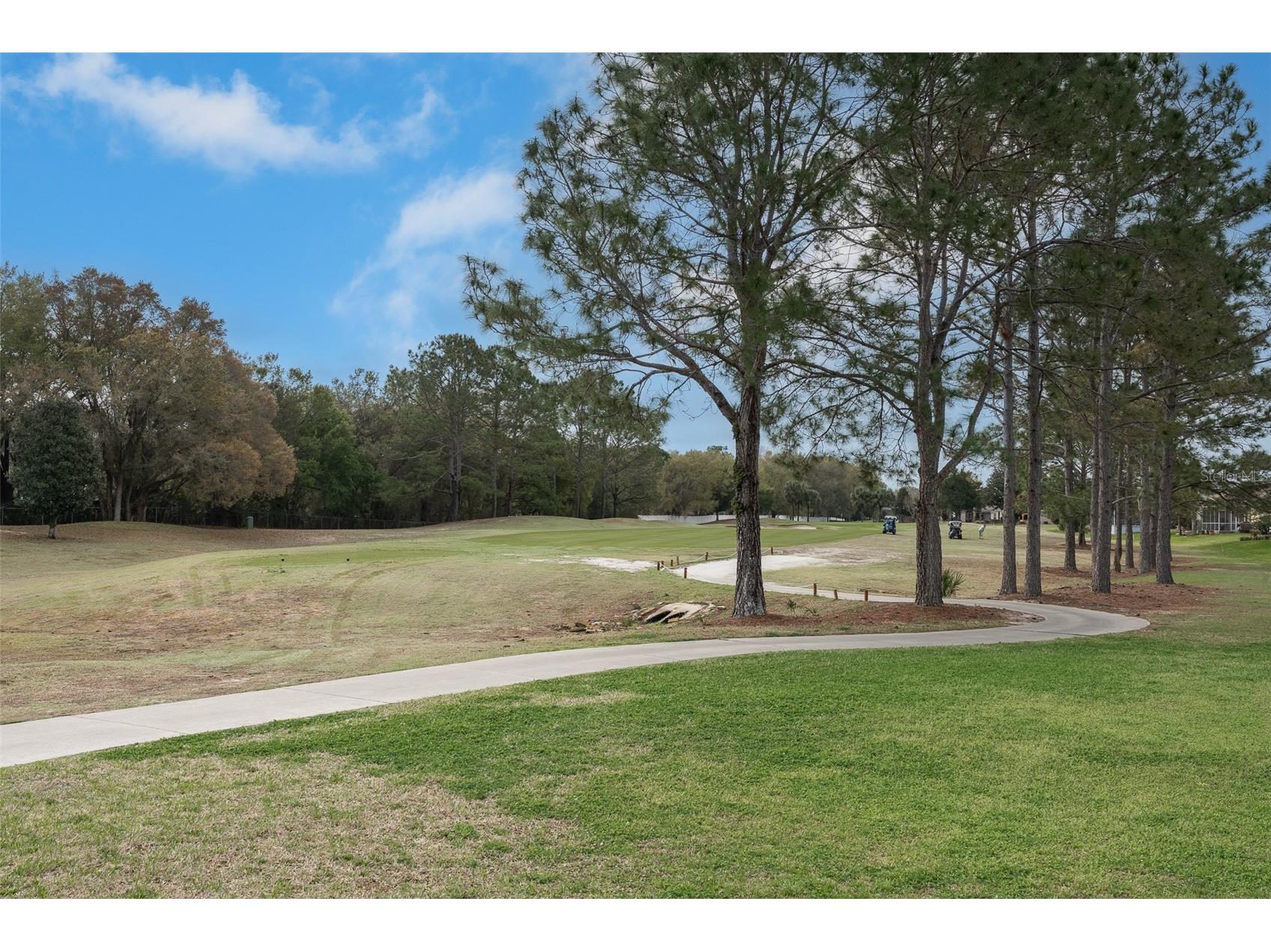 15969 SW 14th Avenue Road Ocala FL 34473 OM720546 image35