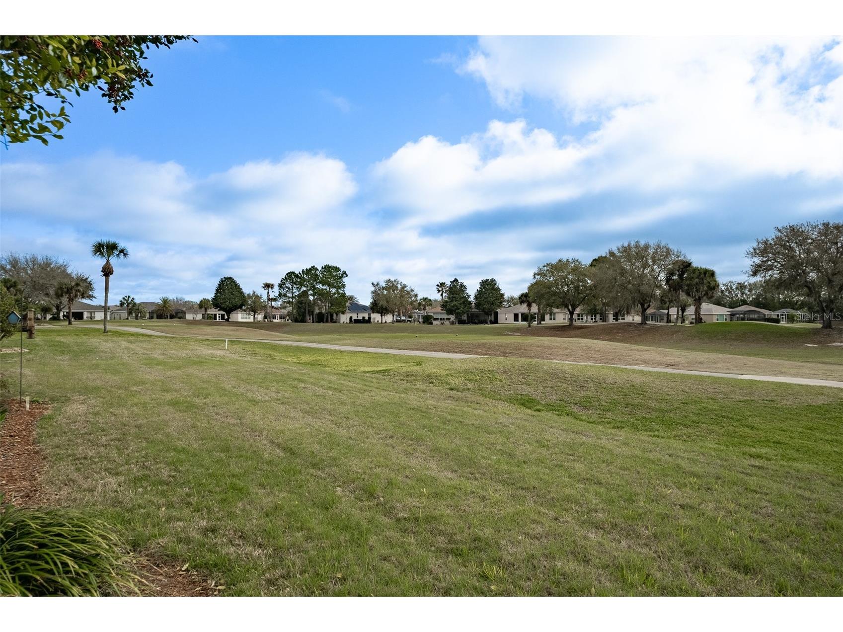 15969 SW 14th Avenue Road Ocala FL 34473 OM720546 image36