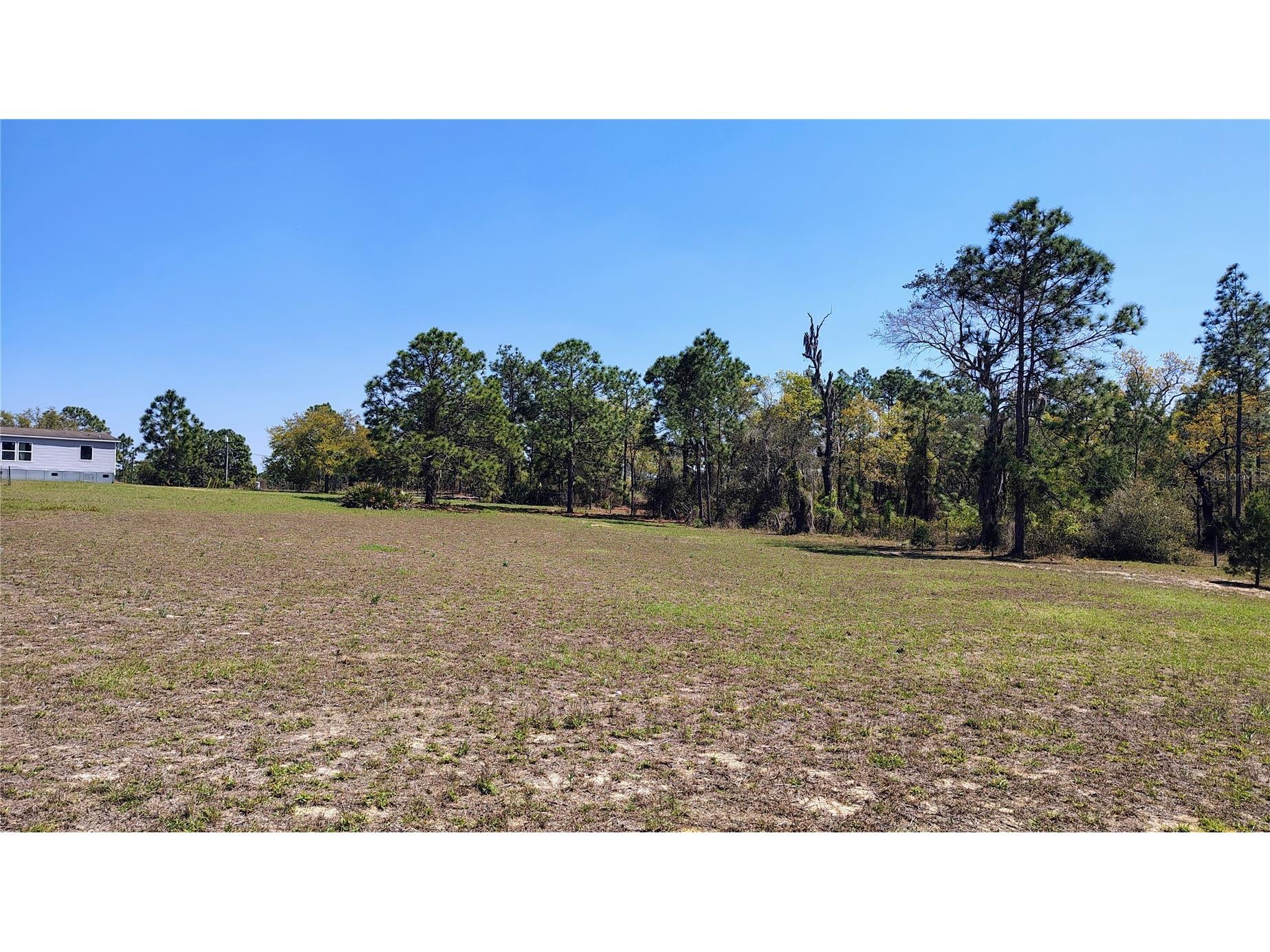15971 Se 108th Loop Ocklawaha FL 32179 G5107565 image21