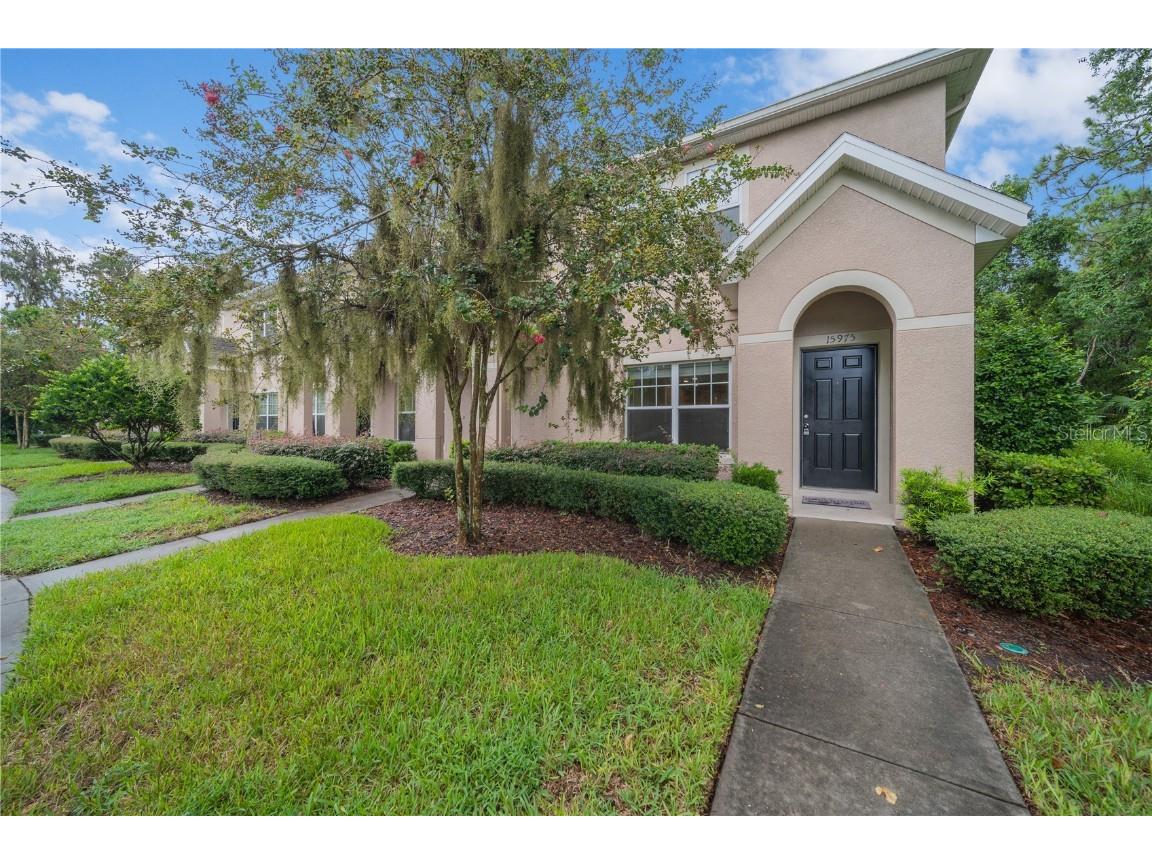15975 Fishhawk View Drive Lithia FL 33547 T3463791 image1