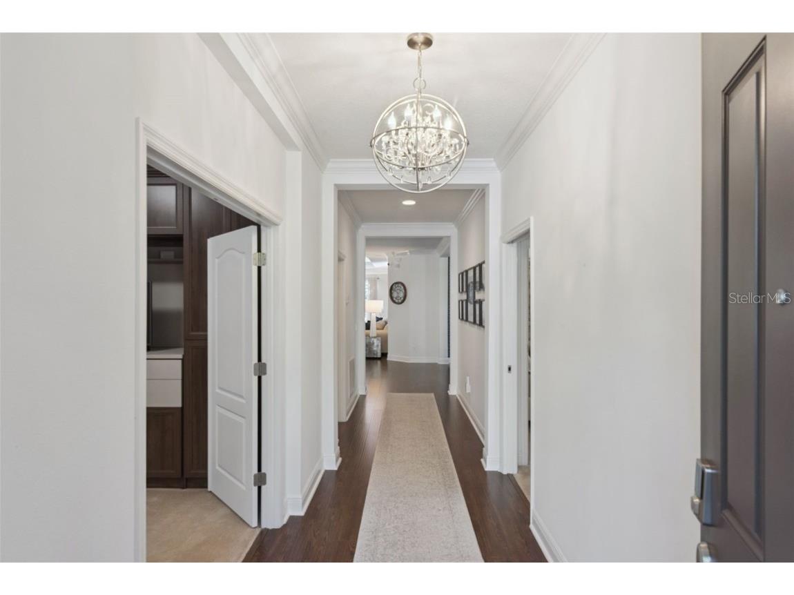 15976 Citrus Knoll Drive Winter Garden FL 34787 O6356719 image5