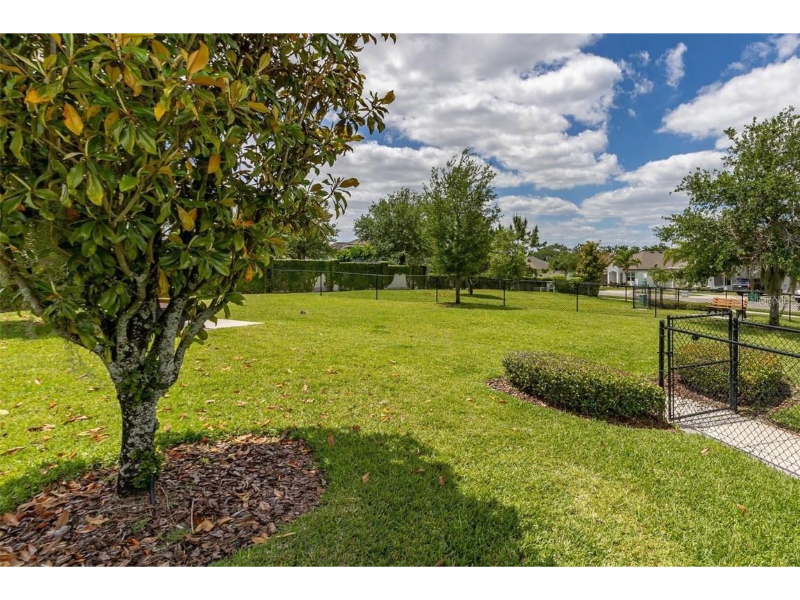 15976 Citrus Knoll Drive Winter Garden FL 34787 O6356719 image74