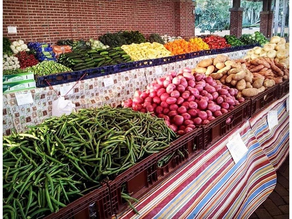 15976 Citrus Knoll Drive Winter Garden FL 34787 O6356719 image80