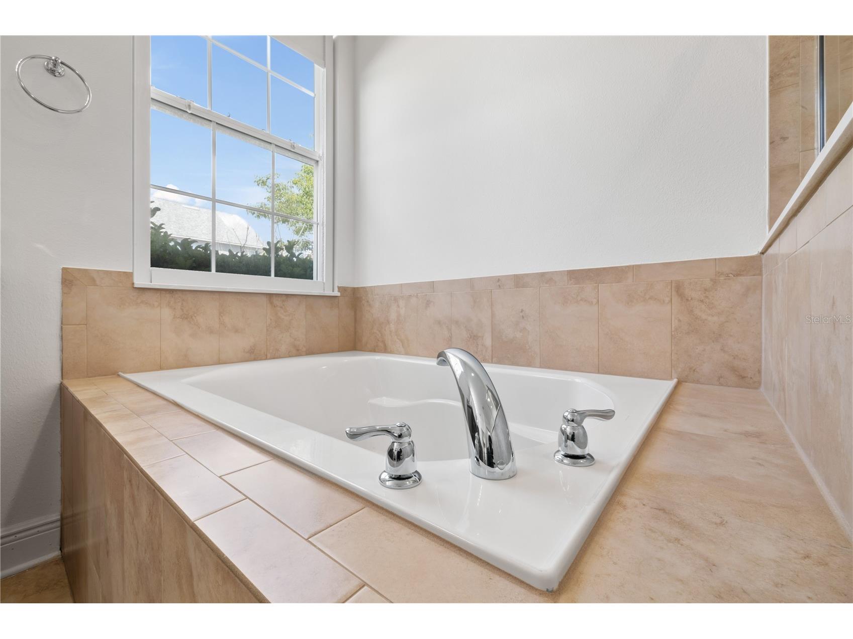 15976 Citrus Knoll Drive Winter Garden FL 34787 O6399342 image49
