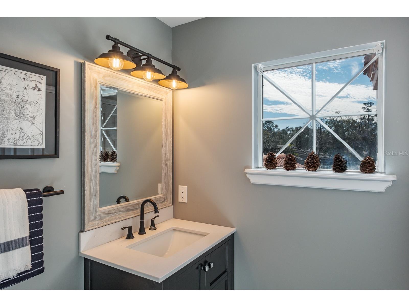 1598 Lockmeade Place Oldsmar FL 34677 TB8490836 image66