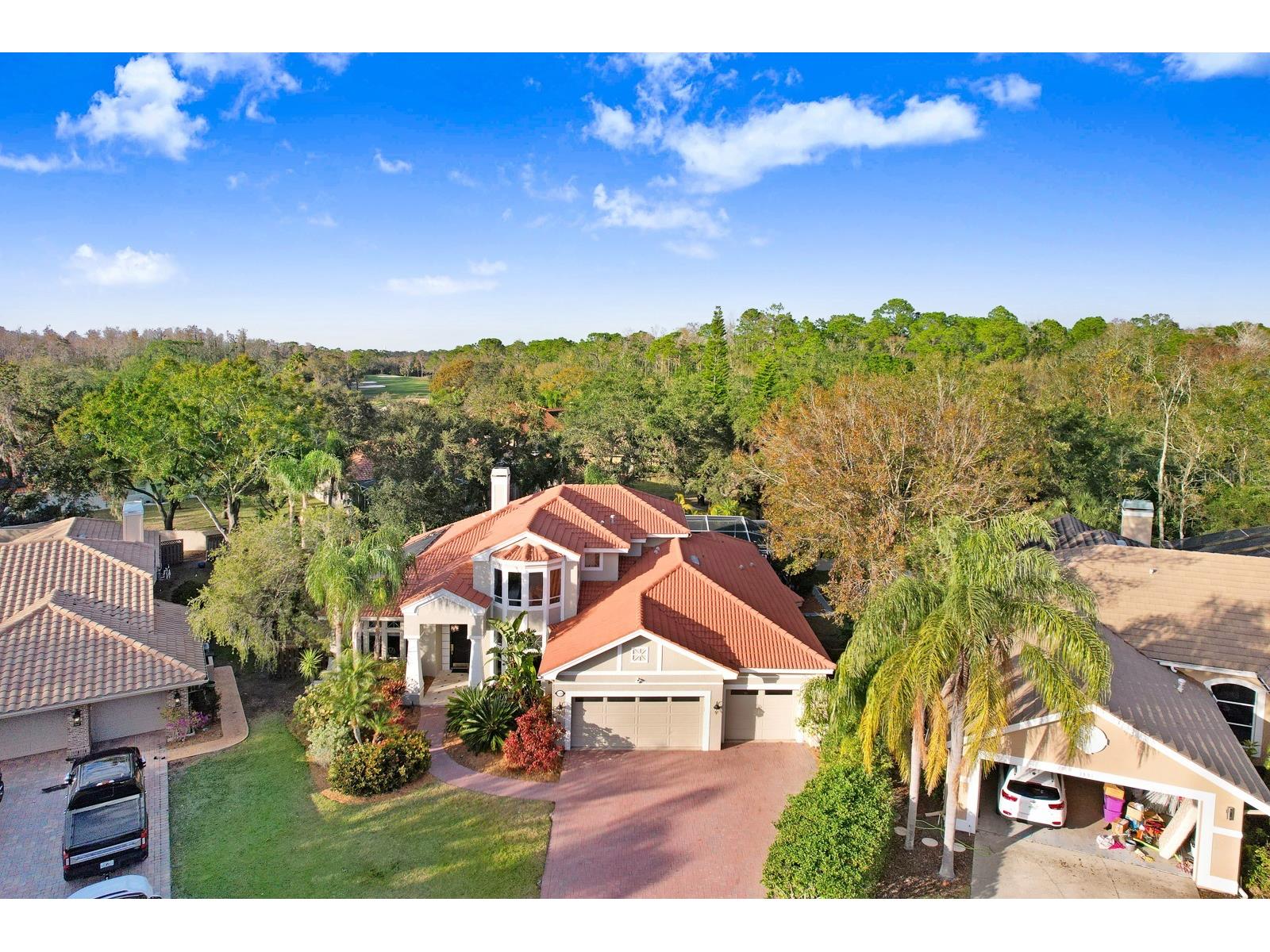 1598 Lockmeade Place Oldsmar FL 34677 TB8490836 image81