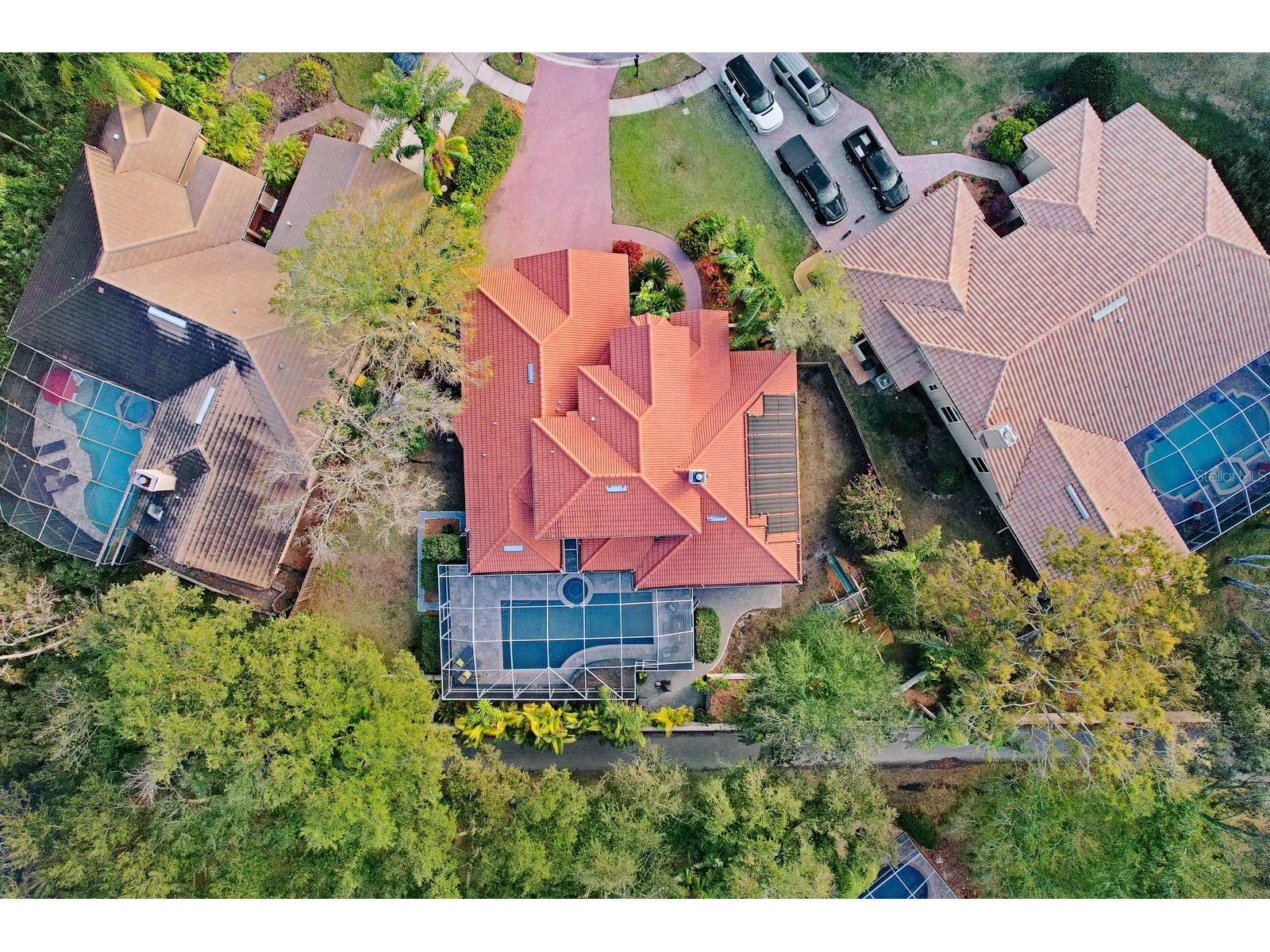 1598 Lockmeade Place Oldsmar FL 34677 TB8490836 image83