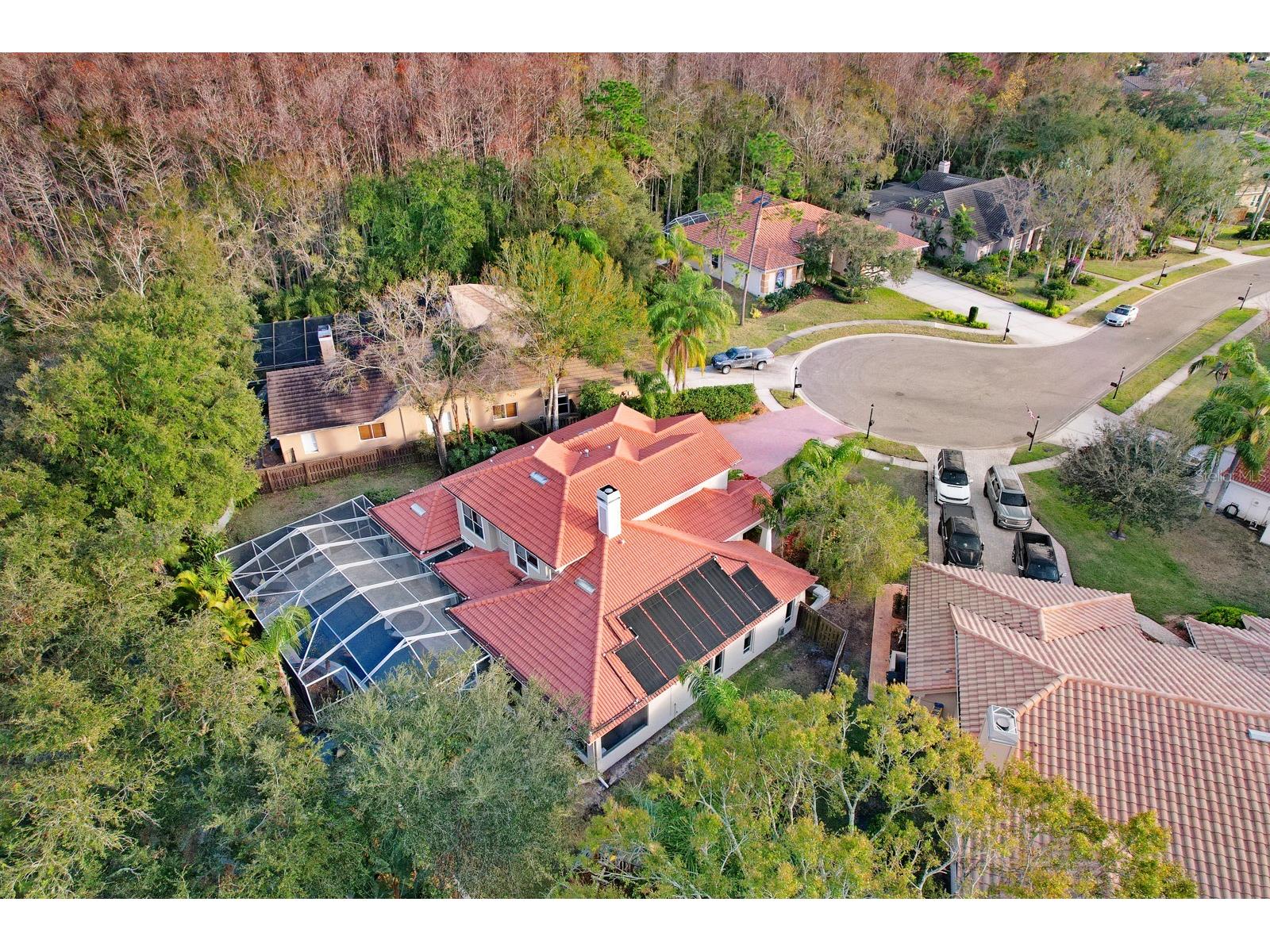 1598 Lockmeade Place Oldsmar FL 34677 TB8490836 image84