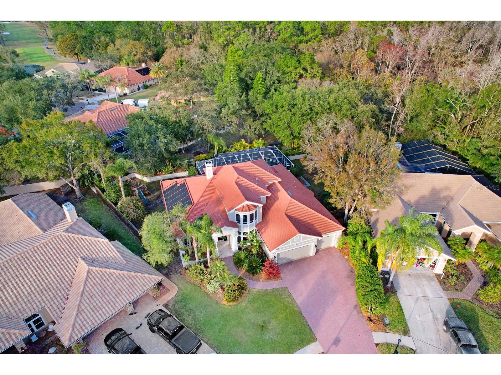1598 Lockmeade Place Oldsmar FL 34677 TB8490836 image85