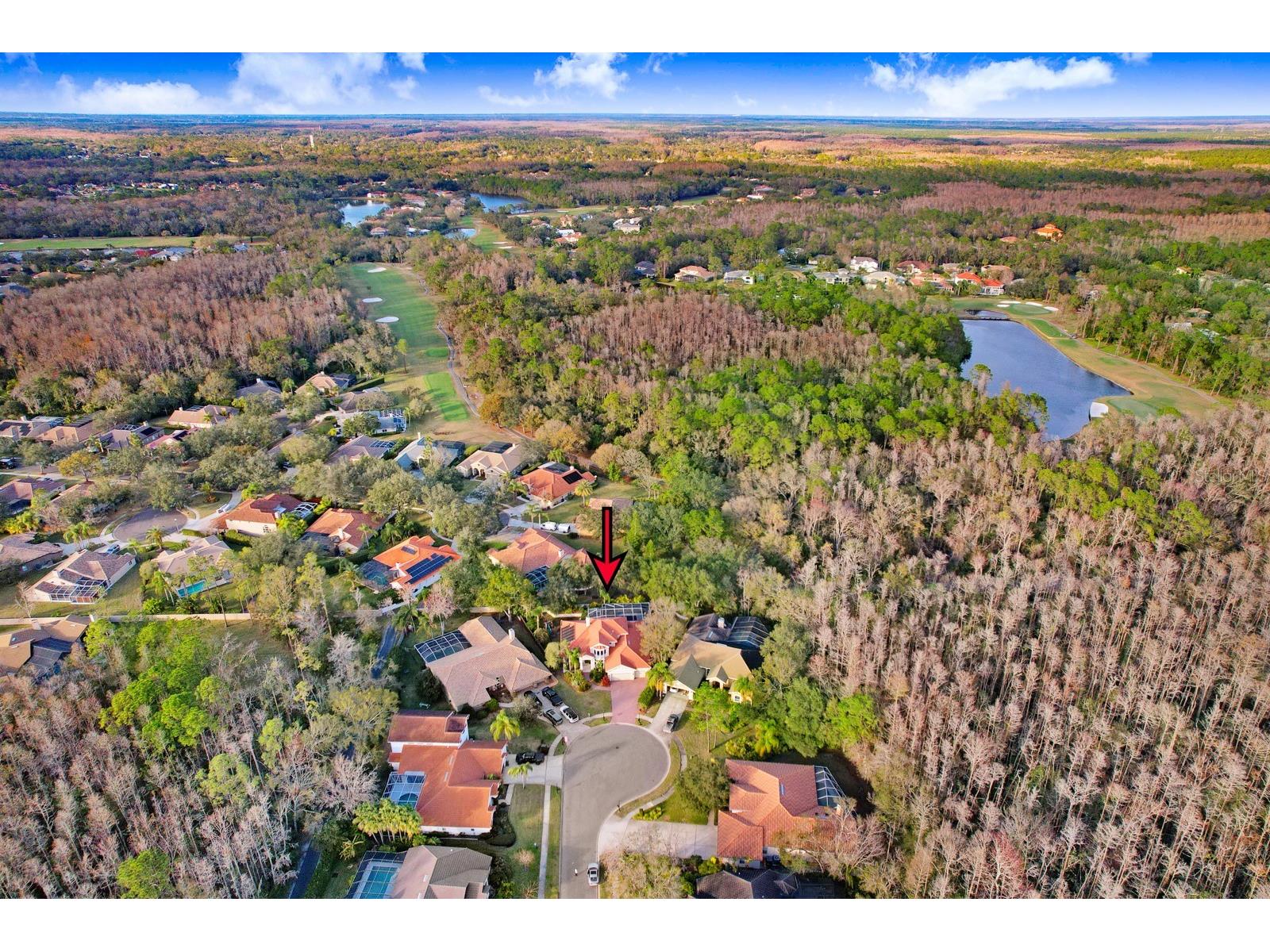 1598 Lockmeade Place Oldsmar FL 34677 TB8490836 image87