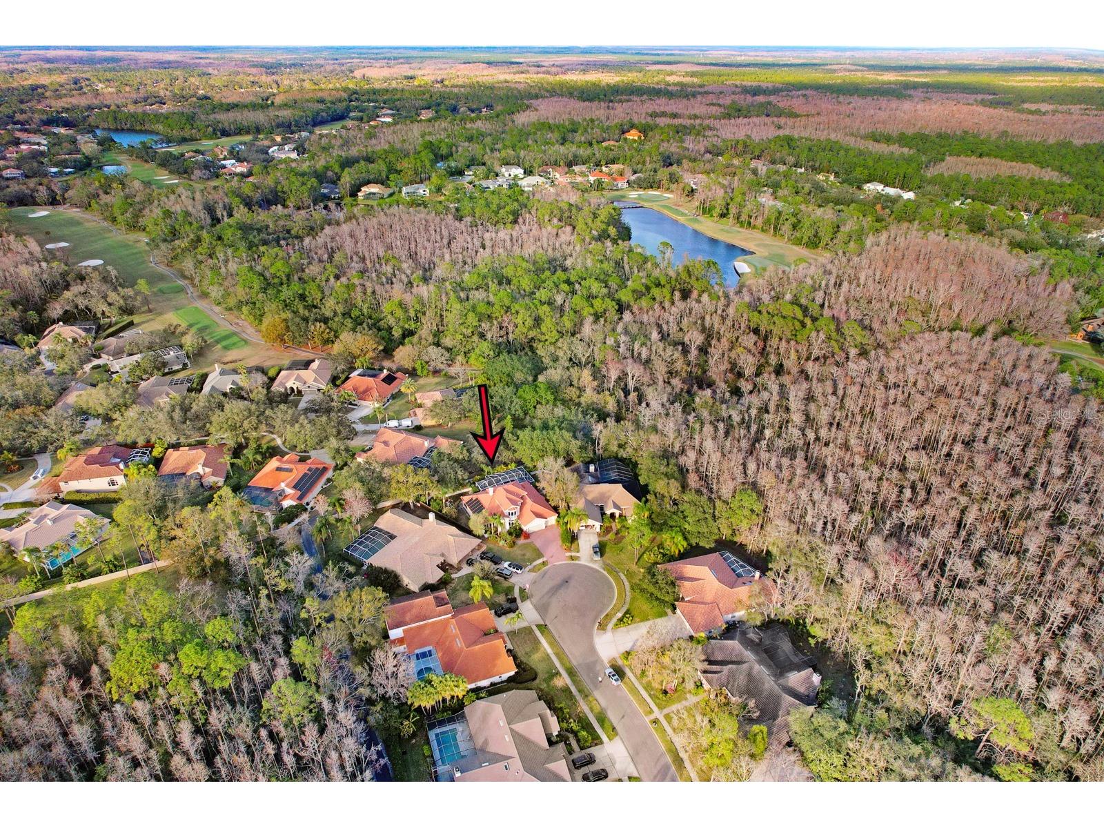 1598 Lockmeade Place Oldsmar FL 34677 TB8490836 image88