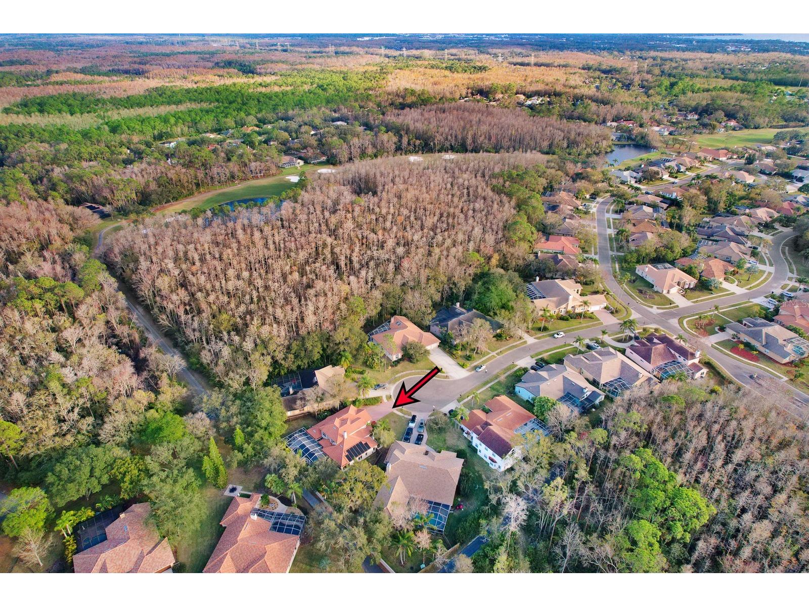 1598 Lockmeade Place Oldsmar FL 34677 TB8490836 image89