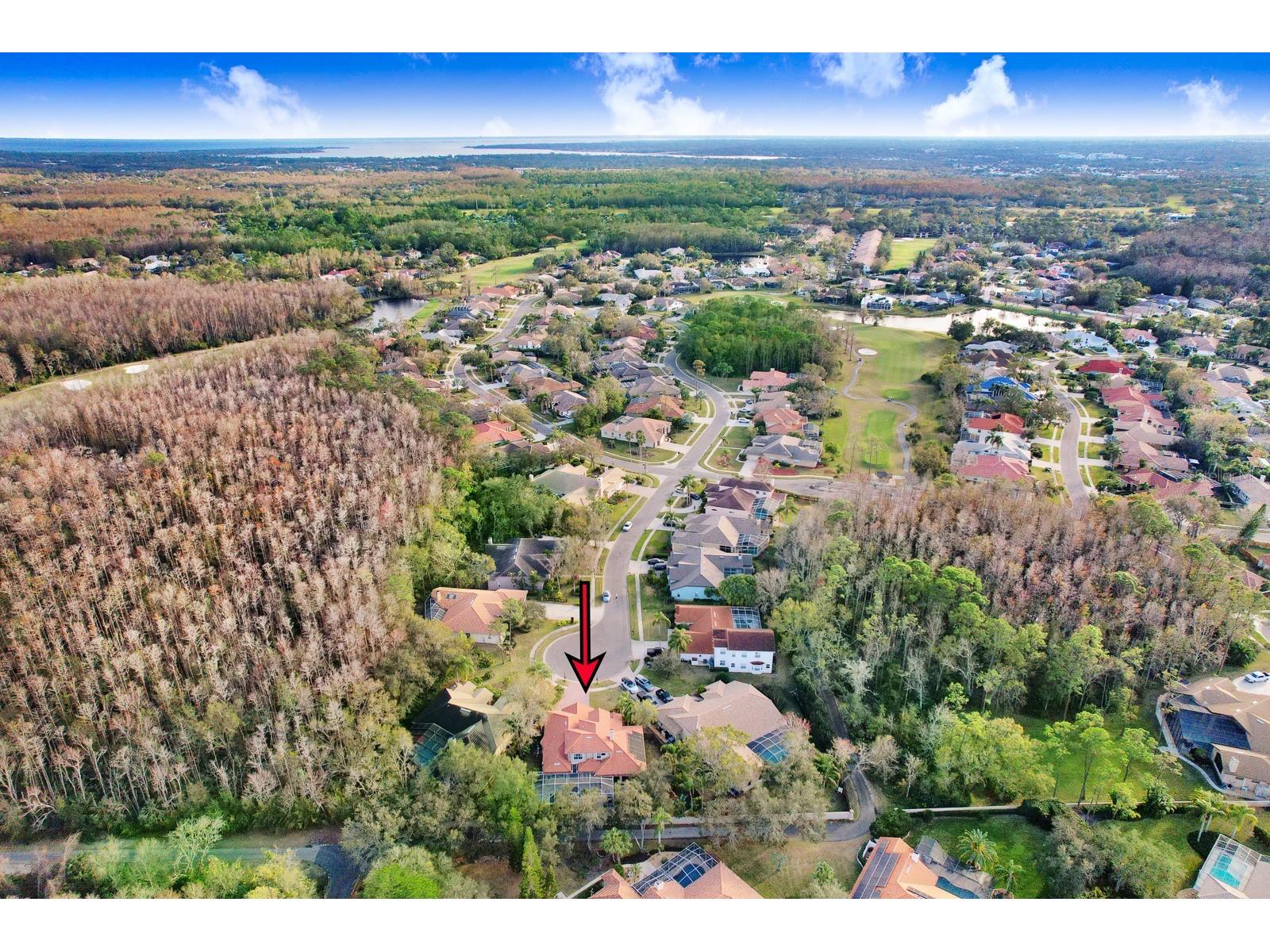 1598 Lockmeade Place Oldsmar FL 34677 TB8490836 image90