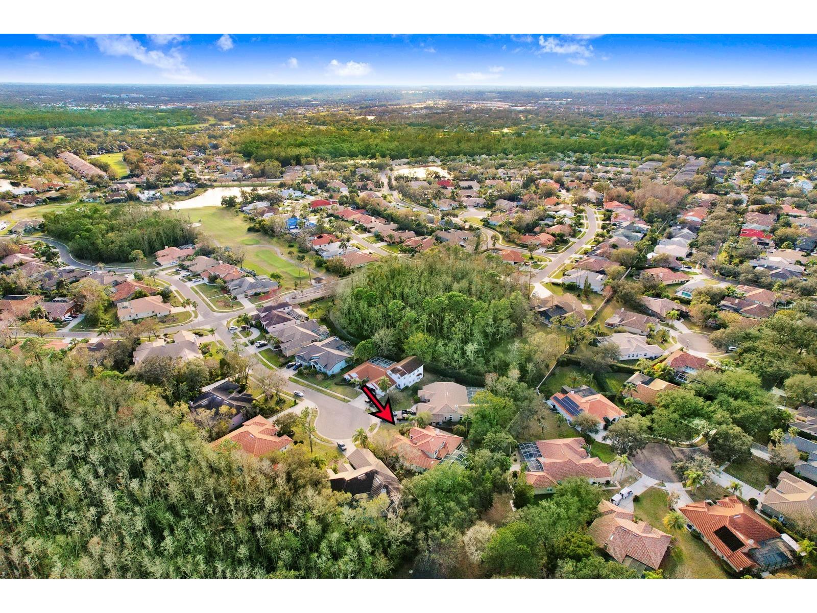 1598 Lockmeade Place Oldsmar FL 34677 TB8490836 image91