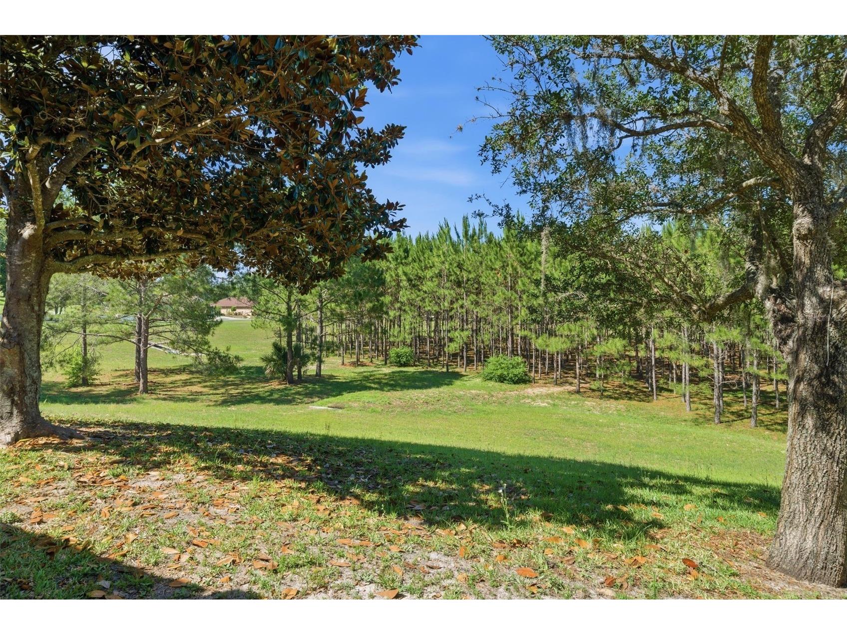 1598 W Spring Meadow Loop Lecanto FL 34461 OM725332 image33