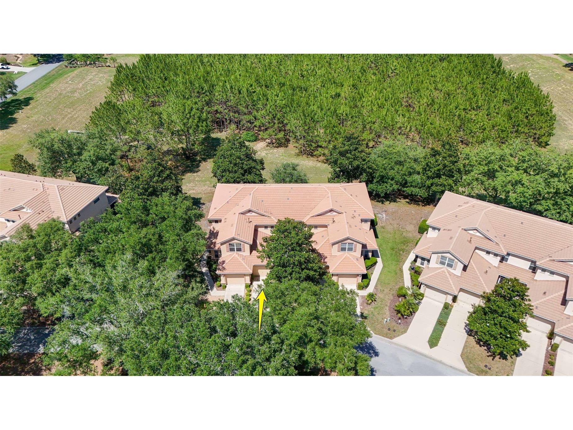 1598 W Spring Meadow Loop Lecanto FL 34461 OM725332 image40