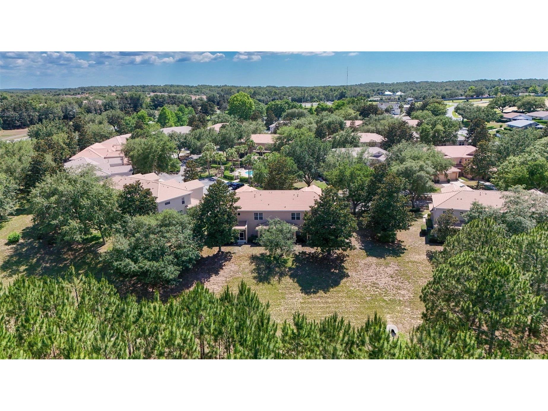 1598 W Spring Meadow Loop Lecanto FL 34461 OM725332 image43