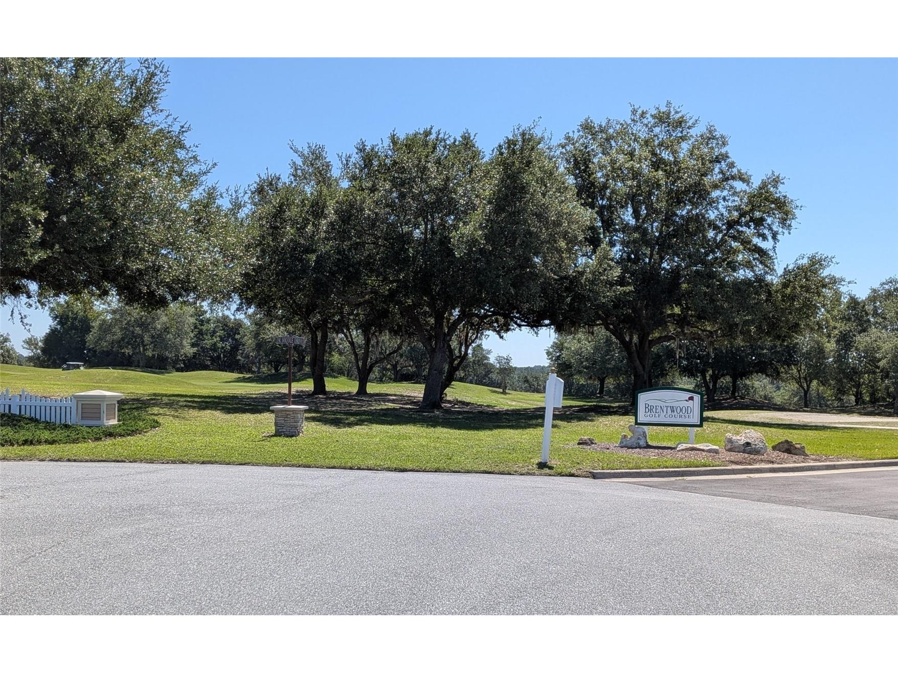 1598 W Spring Meadow Loop Lecanto FL 34461 OM725332 image53