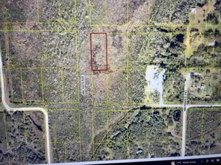 15982 NW 302nd Street Okeechobee FL 34972 OK222755 image1