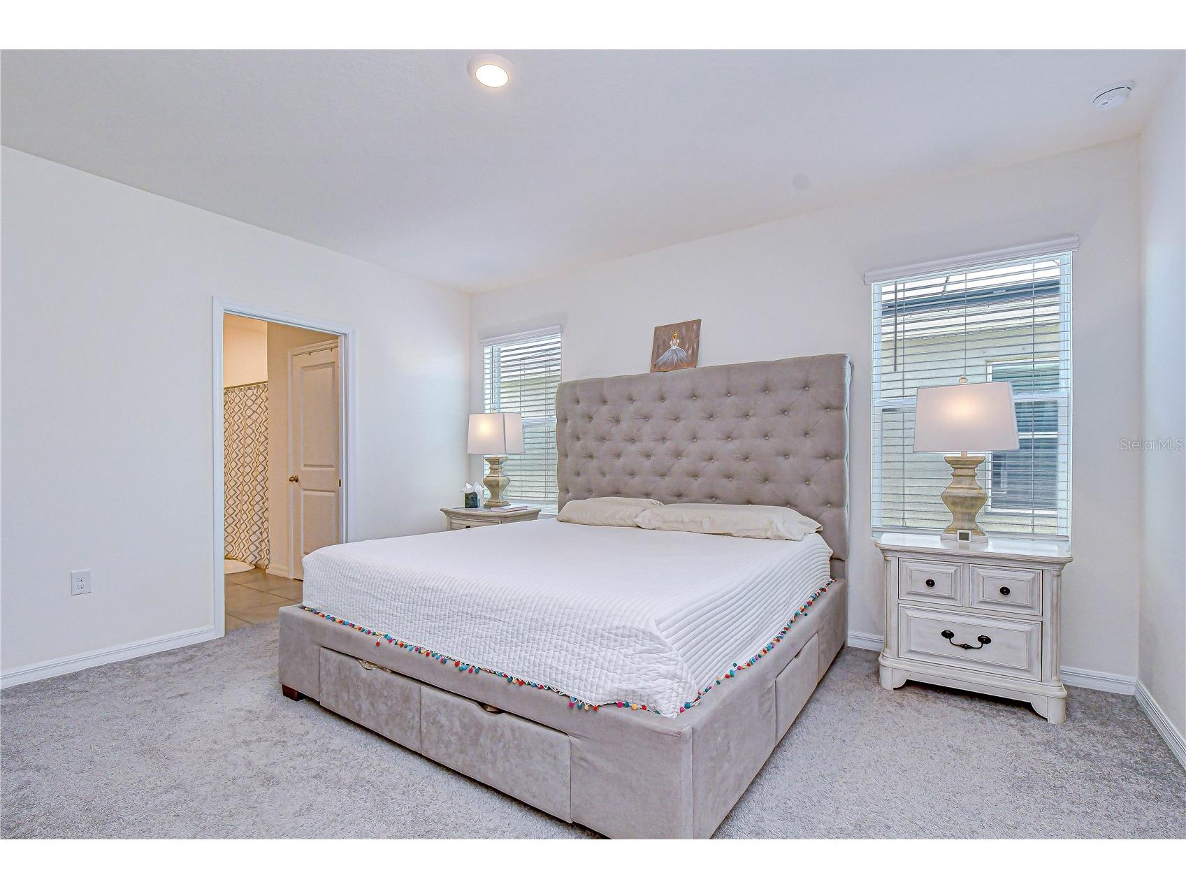 15982 Weathered Windmill Terrace Odessa FL 33556 TB8488466 image22