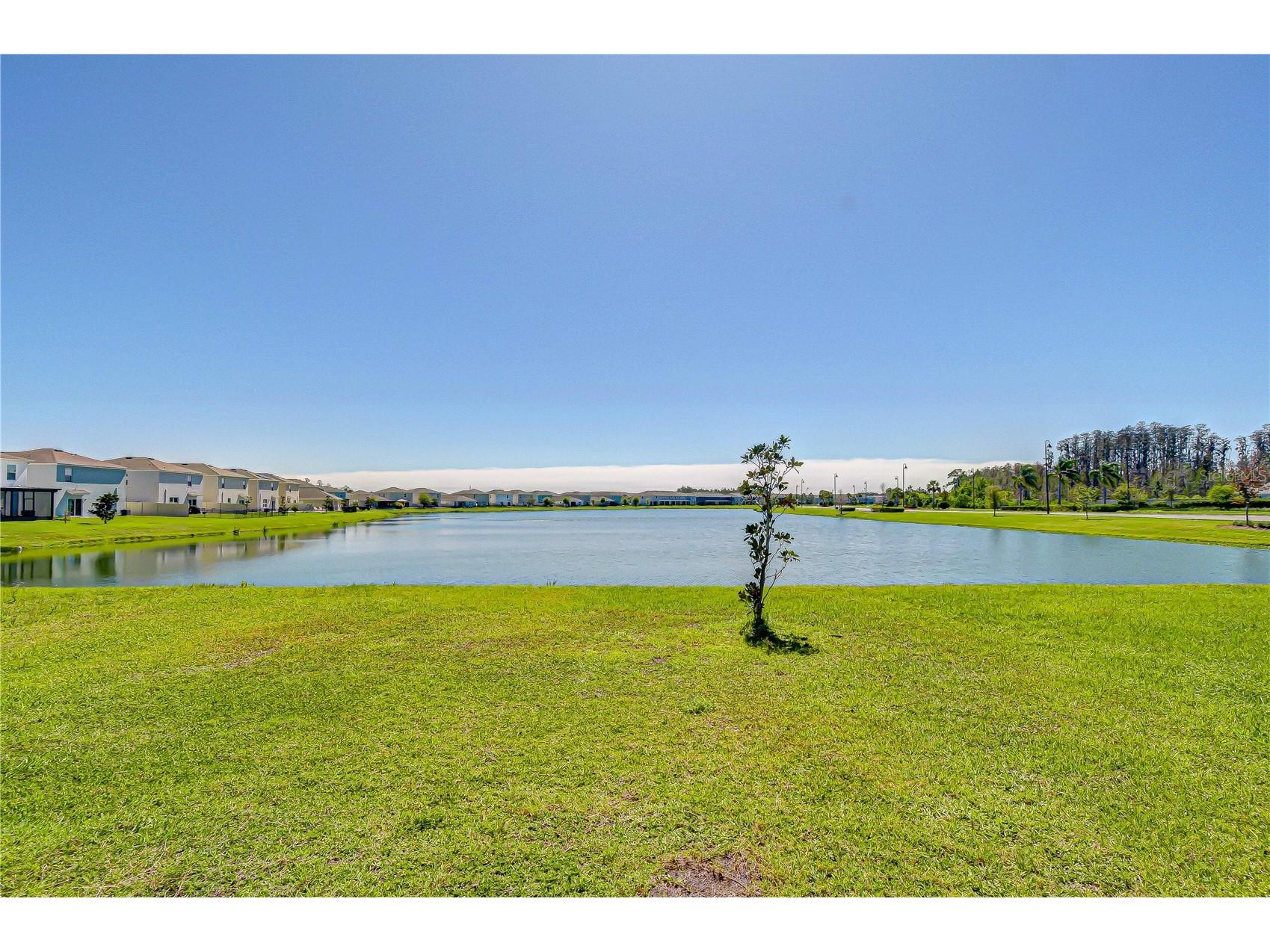 15982 Weathered Windmill Terrace Odessa FL 33556 TB8488466 image4