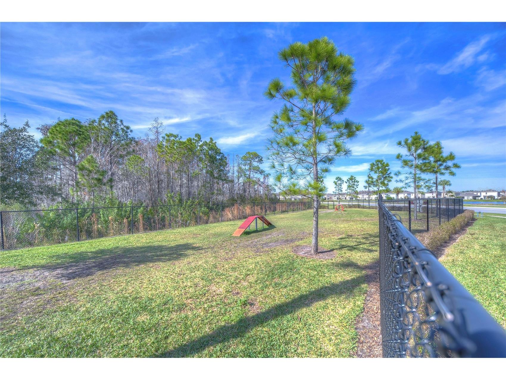 15982 Weathered Windmill Terrace Odessa FL 33556 TB8488466 image40