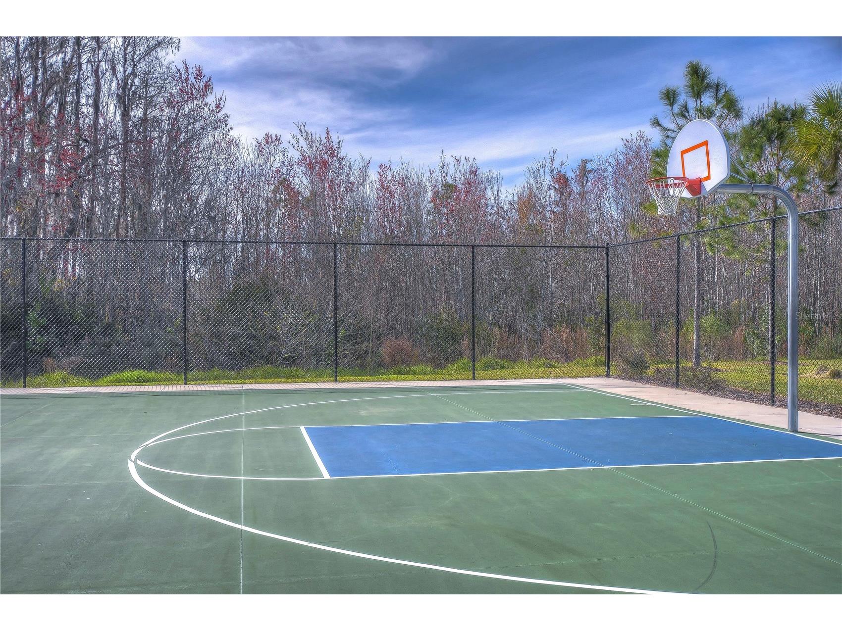 15982 Weathered Windmill Terrace Odessa FL 33556 TB8488466 image41