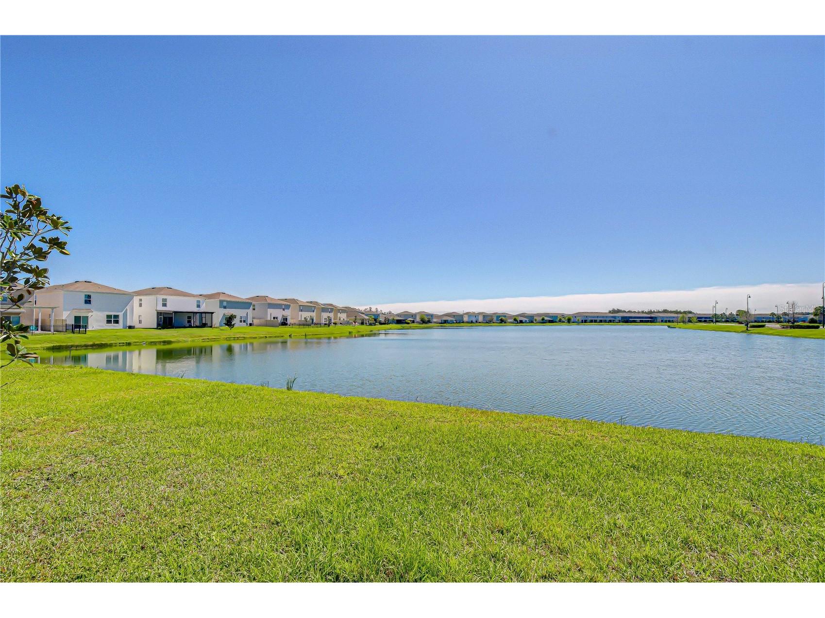 15982 Weathered Windmill Terrace Odessa FL 33556 TB8488466 image6