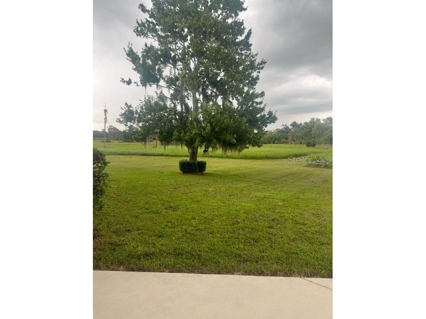 15986 Cutting Horse Trail Myakka City FL 34251 A4635907 image11