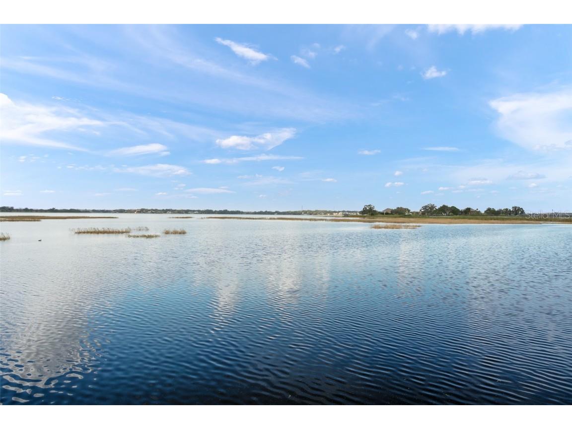 15986 Johns Lake Overlook Drive Winter Garden FL 34787 - JOHNS LAKE O6337081 image60