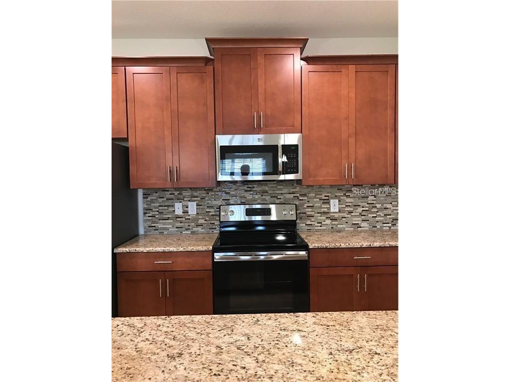 1599 Moon Valley Drive Davenport FL 33896 O6411017 image4