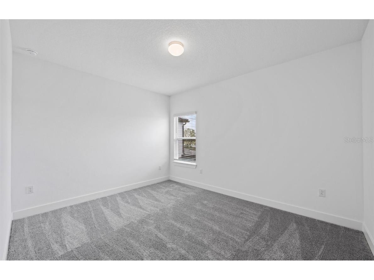 1599 Valier Point Zephyrhills FL 33541 TB8420014 image22