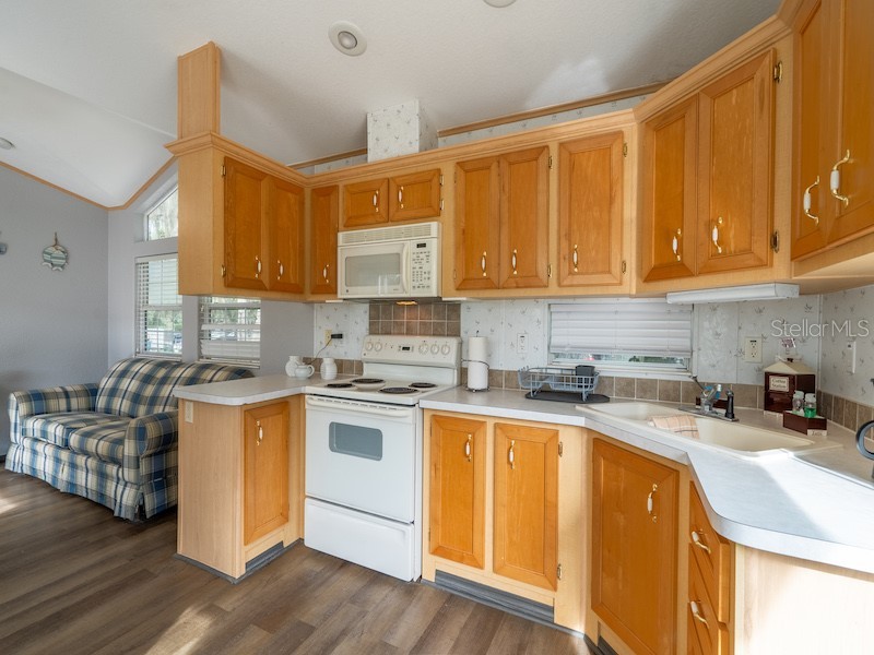 15991 NE 243rd Place Road #31 Fort Mc Coy FL 32134 OM717283 image13