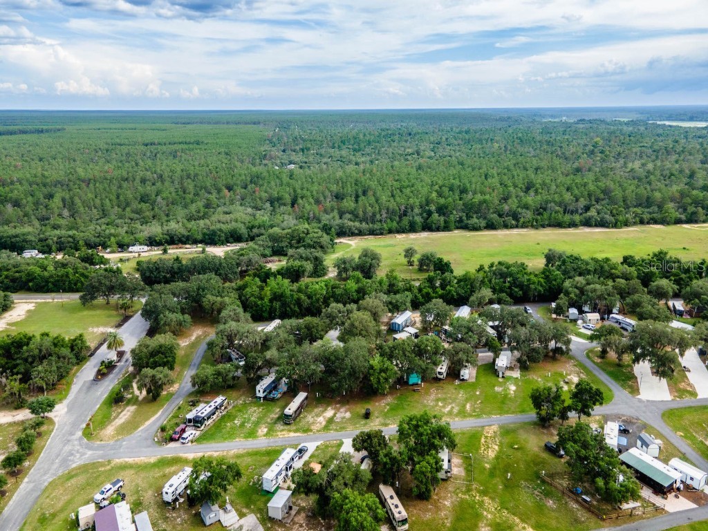 15991 NE 243rd Place Road #32 Fort Mc Coy FL 32134 OM703862 image22