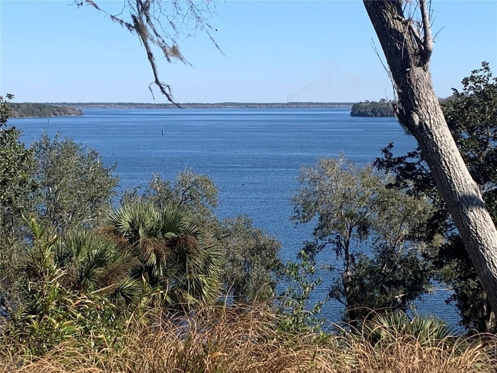 15991 NE 243rd Place Road #350 Fort Mc Coy FL 32134 - LAKE OCKLAWAHA OM690585 image29